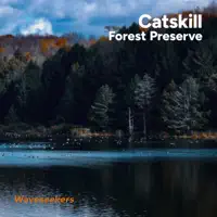 Catskill Forest Preserve — Waveseekers
