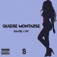 David J SV Quiere Montarse (feat. David J SV) - Single - RB Producer