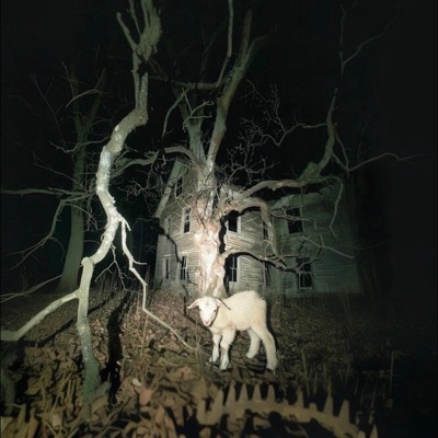 Honorable Mention ! (feat. Anti_Socialty & prod.ssjchrome) - Single