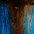 Rot