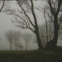 Maybe One Day - Single - Sly C