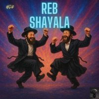 Reb Shayala (feat. Kalmey Schwartz) - Single - Shlezkey
