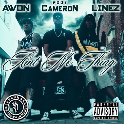 AINT NO THING (feat. AWON & LINEZ) - Single