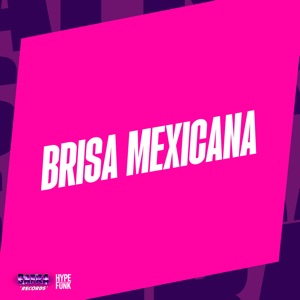 Brisa Mexicana (feat. MC VK DA VS)
