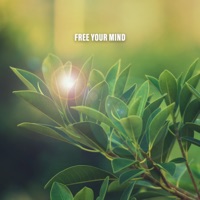 Free Your Mind - Relaxing Rain Sounds