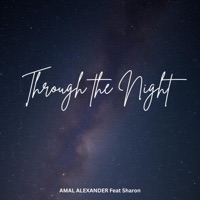 Through the Night (feat. Sharon) - Single - Amal Alexander