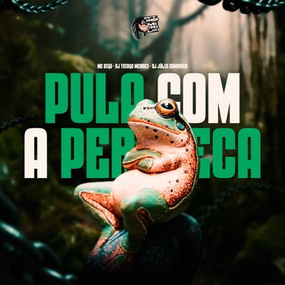 Pula Com a Perereca - Single