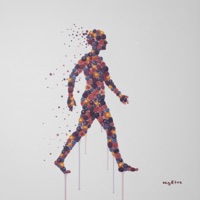 Going North (Ben Monday Remix) - Single - Amir Telem