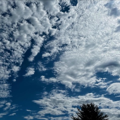 Dancing Mindfulness #2 - Single