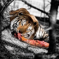 Rare (feat. 4L Hundo) - Single - Toa$ted & SpidaCrazy8