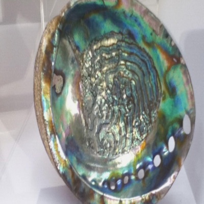 oder auch in fabeln - Single