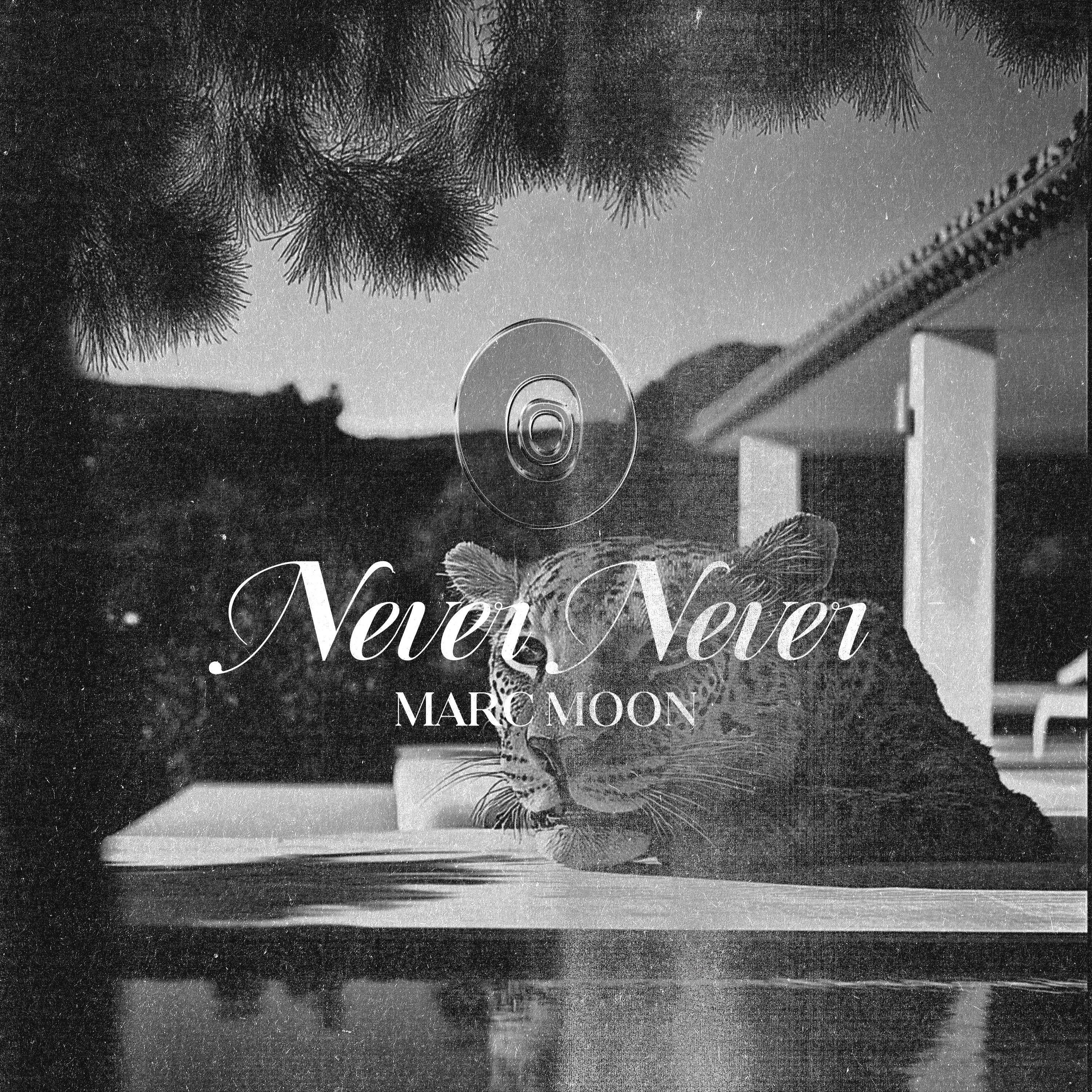 NEVER NEVER - Single