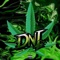 Dn1 - Mefiu lyrics