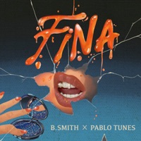 Fina - Single - B.Smith & Pablo Tunes