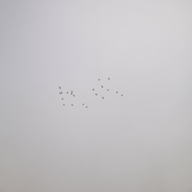 Sorrows Iamcloud & yani