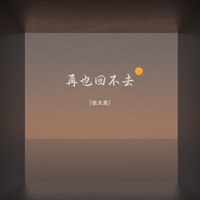 再也回不去 - Single - 张大美