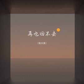 再也回不去 张大美