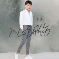 入心即伤 - Single - 齐晨