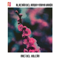 Nací del Volcán - Single - Alacrán del Amor