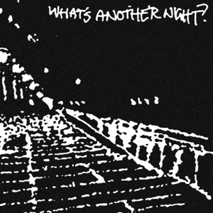 What's Another Night? - Single