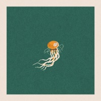 Ynda - Single - Chinless Wonder