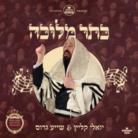 כתר מלוכה - Single - Thank You Hashem, Yoeli Klein & שייע גרוס