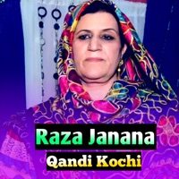 Raza Janana. - Single - Qandi Kochi