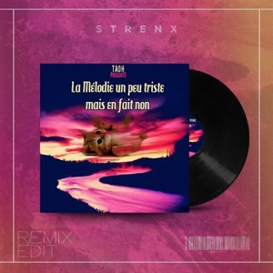 La mélodie un peu triste mais en fait non (Strenx Remix Edit)