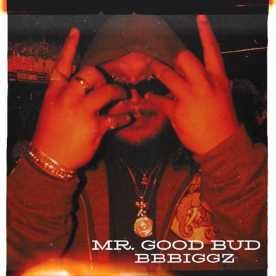 MR. GOOD BUD - Single