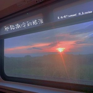 耶路撒冷的眼泪