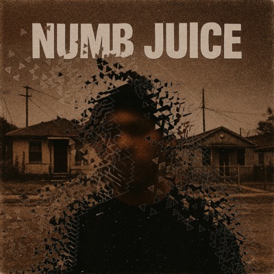 NUMB JUICE - Single