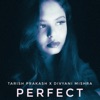 Perfect - Single