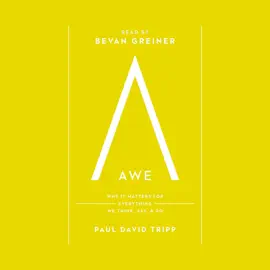Awe: Why It Matters for Everything We Think, Say, and Do