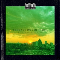 Tierra Como Mi Tierra (feat. Yanine) [Techno Version] - Single - Dj Ninho