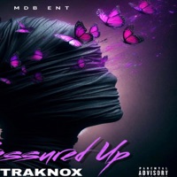 Pressured Up (feat. Xiana Knox) - Single - Traknox