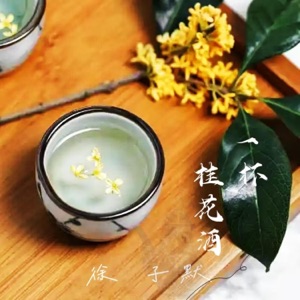 一杯桂花酒 - Single