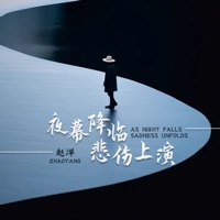 夜幕降臨悲傷上演 (DJheap九天版) - Single - Zhao Yang