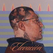 Elevación artwork