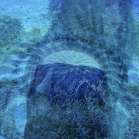 feel like, nevermind - Single - Creepybuggirl