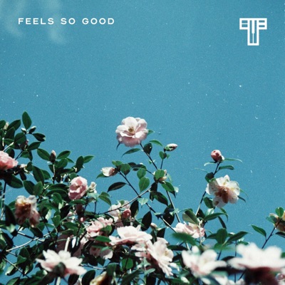 Feel So Good - Single
