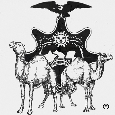 CAMELLANDO (feat. Mordeskay, TYN Tyrone X, FICHAJE & FG) - Single