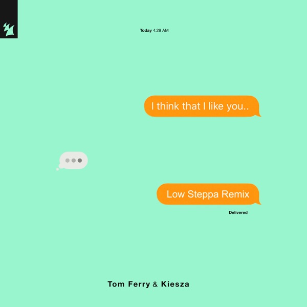 I Think That I Like You (Low Steppa Remix) - Single