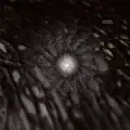 Rise of Angel