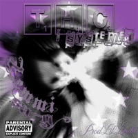 Thc I Systemet - Single - Lil.Lørda