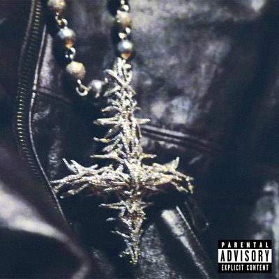 IMG & sickovoorhees - COBRA