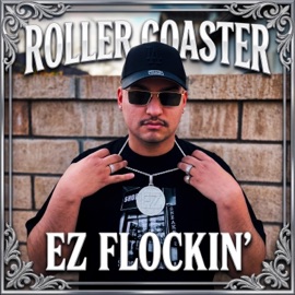 Roller Coaster EZ FLockin