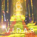 V.I.D.A.S.