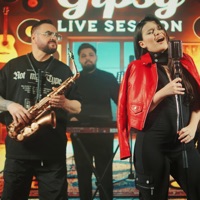 Ja jari ja (Live Session) - Single - Gipsy Casual