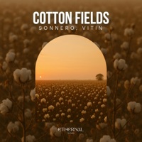 Cotton Fields - Single - Sonnero, VITIN & Ethernal Sands