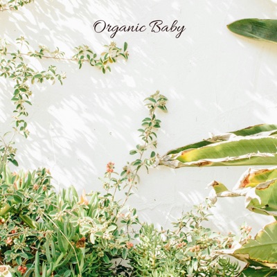 Organic Baby - Single